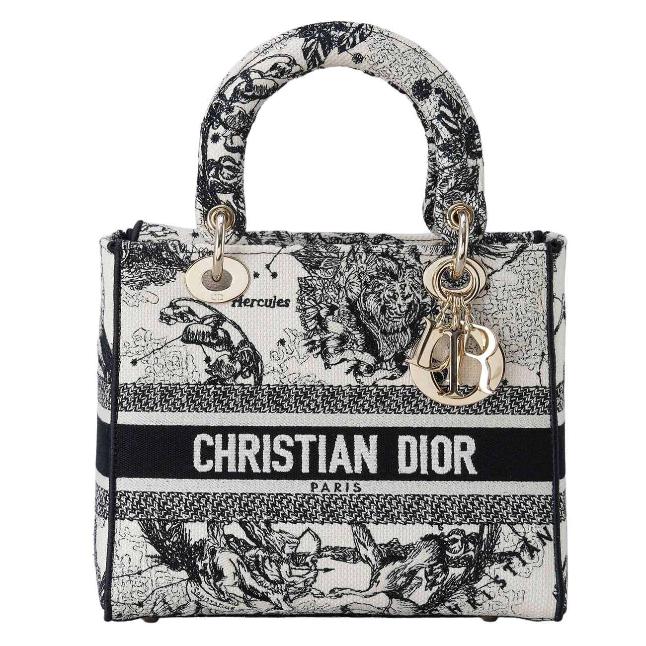 CHRISTIAN DIOR(USED)크리스찬디올 레이디 D Lite 미디엄 백